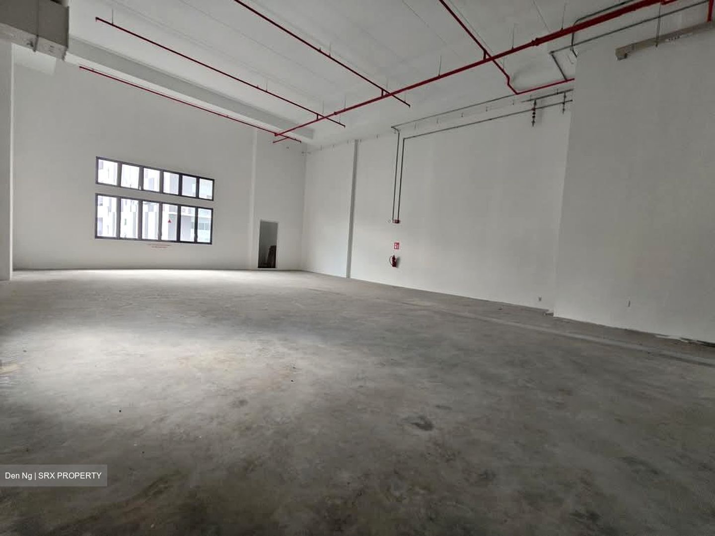 Ct Foodnex (D25), Factory #561533651